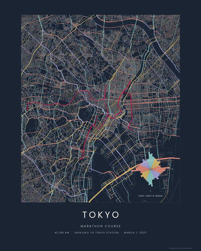 The Tokyo Marathon course as a Street Compass City poster
